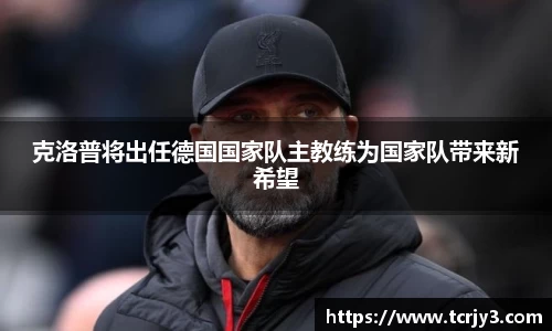 完美体育