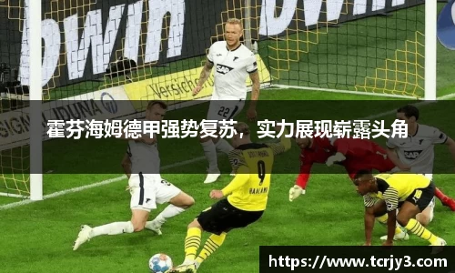 完美体育官网
