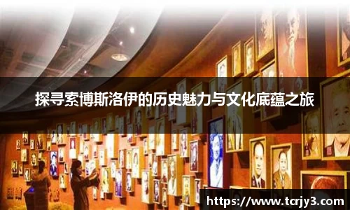 探寻索博斯洛伊的历史魅力与文化底蕴之旅