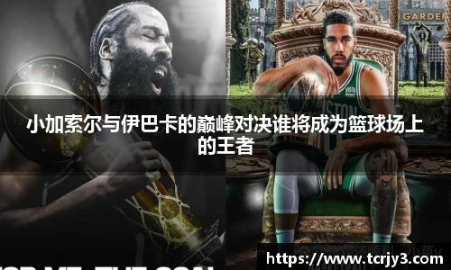 完美体育官网